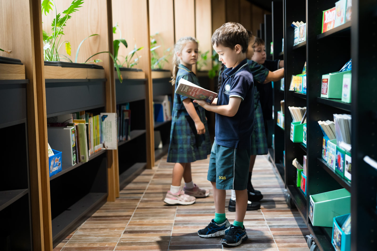 Three young children in IGS uniforms stand in a library. One boy reads a book whilst two other children look at books on nearby shelves. Sunlight streams in, highlighting plants on the windowsill.